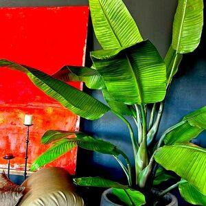 Ellen Tracy Halter Tankini Suit size 8 Antonio Melani coverup 39" X 55" NEW